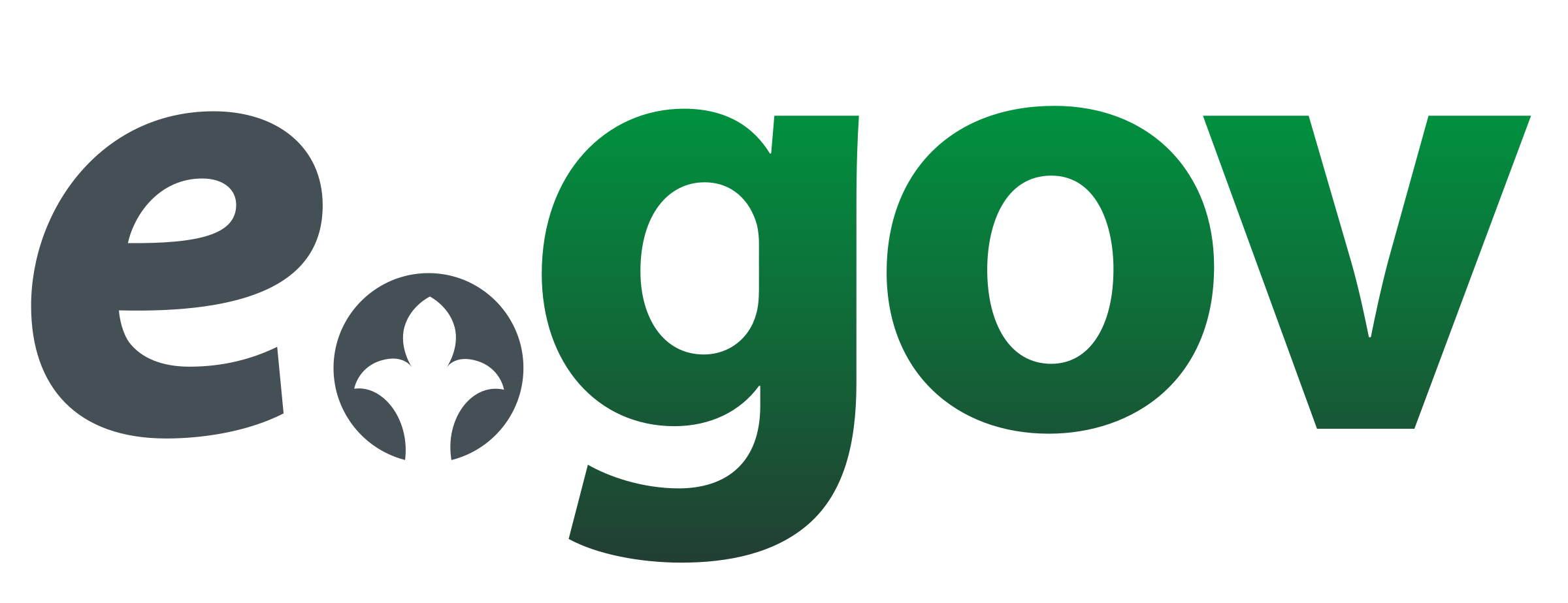 Gosudarstvennyye-uslugi-i-informatsiya-onlayn