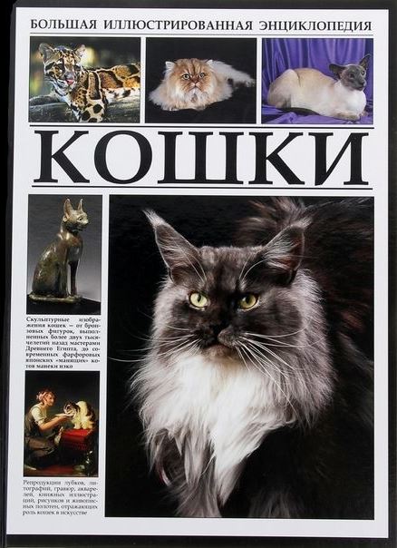 Кошки. Большая иллюстрированная энциклопедия