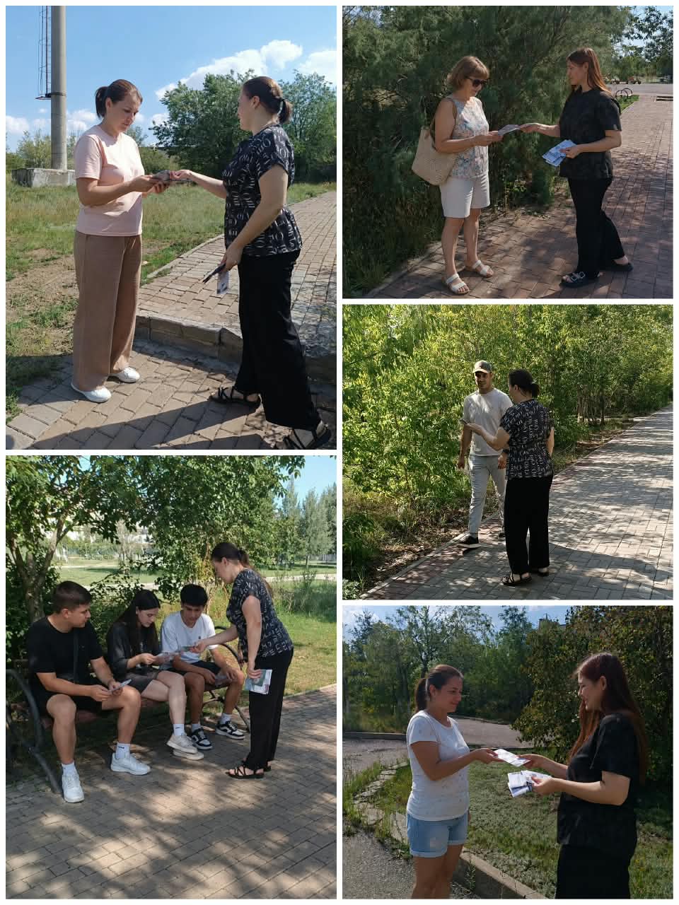 кітап қозғалысы